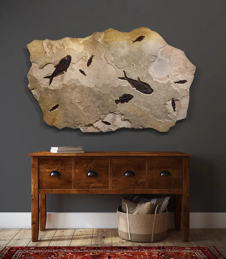 An Irregularly shaped fossil mural