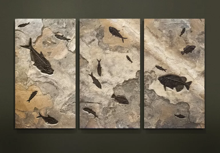 A fossil stone triptych containing a variety of large and small fossil fish