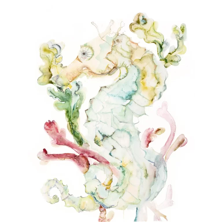 Rainbow Seahorse