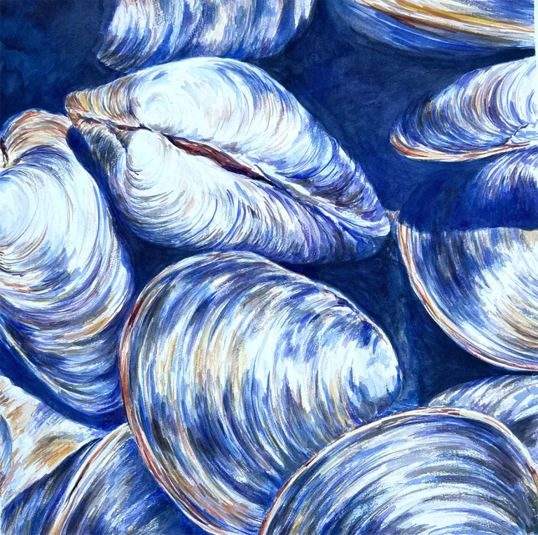 'Clams' by Eileen Baumeister McIntyre