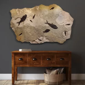 An Irregularly shaped fossil mural