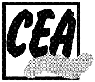 Center for Emerging Art