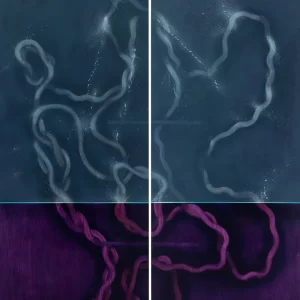 Dorian Grey Projects