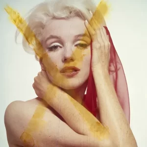 The Estate of Bert Stern